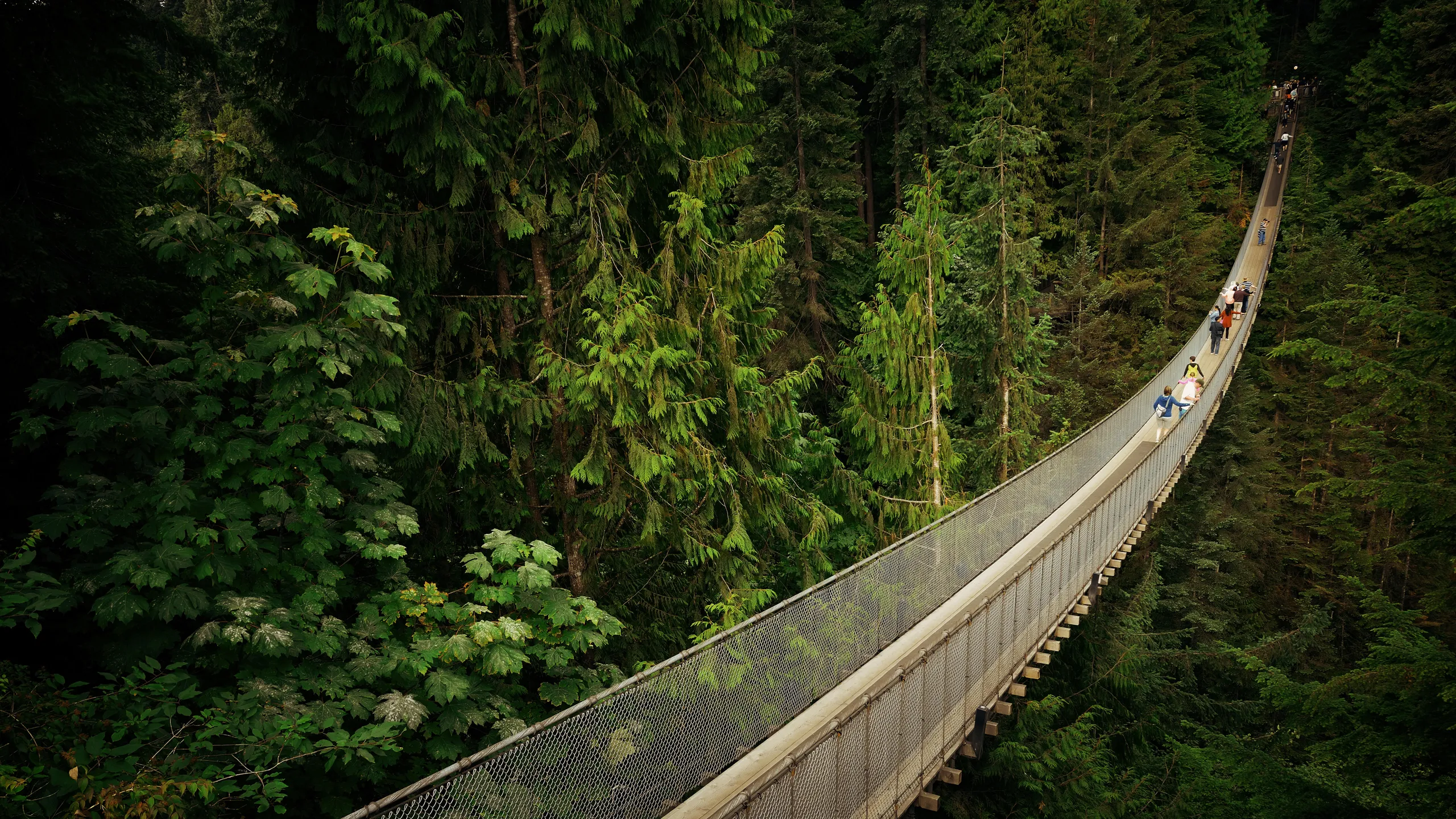 bridge